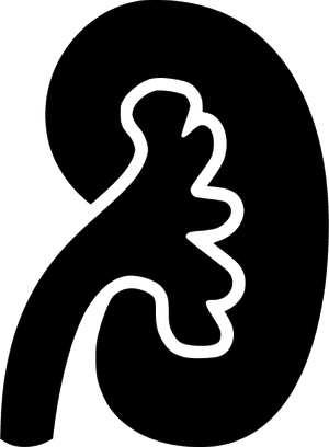 Transparent Kidney Png - Kidney Png In Black, Png Download PNG with transparent background