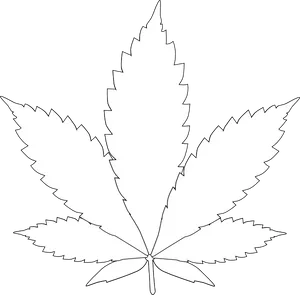 Simplified Leaf Outline PNG Image