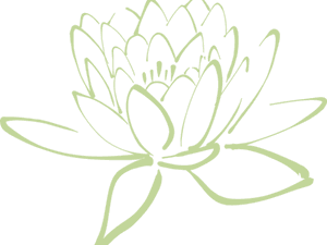 Transparent 300 Clipart - Lotus Flower Clipart Green, HD Png Download PNG