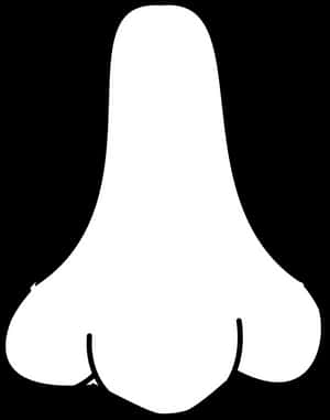 Nose, Nostril, Human, Outline - White Nose Png, Transparent Png PNG image with transparent background
