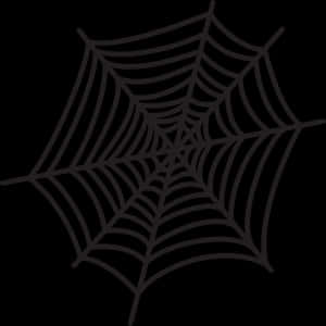 Simplified Spider Web Graphic PNG image with transparent background