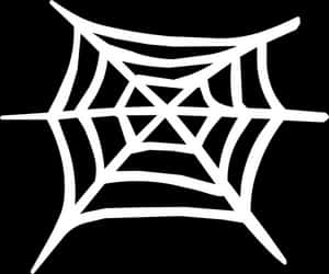 Simplified Spider Web Graphic PNG image with transparent background