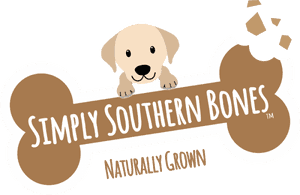 Transparent White Dog Bone Png, Png Download PNG