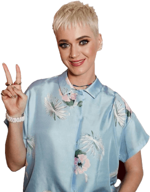 Singer Katy Perry Png Photo - Katy Perry Witness Era, Transparent Png PNG image with transparent background