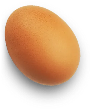 Single Brown Eggon Dark Background PNG Image