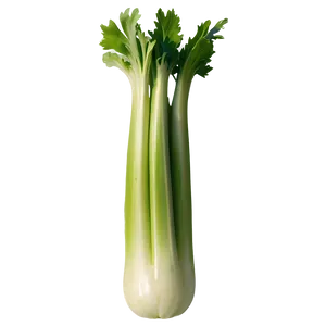 Single Celery Stalk Png 06252024 PNG Image