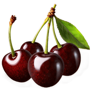 Single Cherry PNG wuw PNG