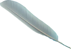 Single Feather Isolatedon Black Background PNG Image