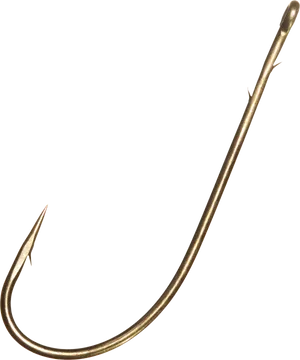 Single Fish Hook Isolated PNG Image