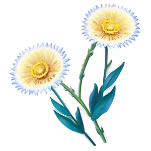 Single Flower Stem Png Omy PNG Image