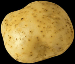Single Fresh Potato PNG with transparent background