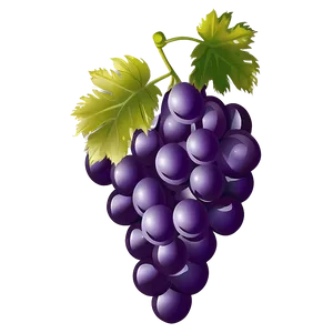 Single Grape Illustration Png Pny PNG Image