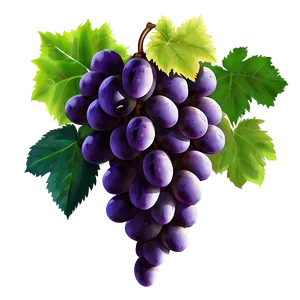 Single Grape Illustration Png Qhq12 PNG Image