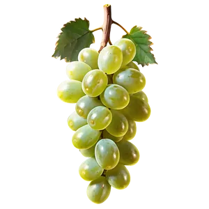 Single Grape Png Qiy PNG Image