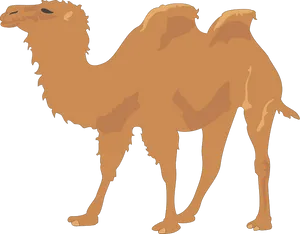 Single Humped Camel Illustration.png PNG Image