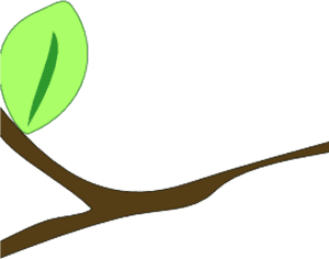 Single Leafon Branch Illustration PNG image with transparent background