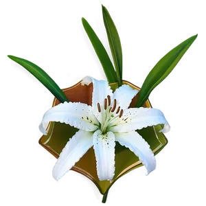 Single Lily Flower Png Itk43 PNG Image