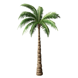 Single Palm Tree PNG 04292024 PNG image with transparent background
