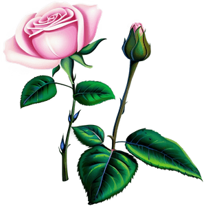 Single Pink Rose PNG kgs24 PNG image with transparent background