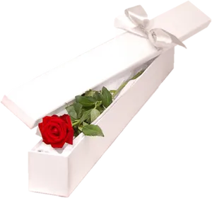 Single Red Rosein Gift Box PNG Image