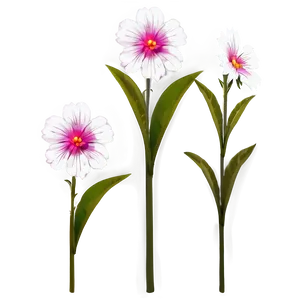 Single Stem Flower Png Jrn PNG Image