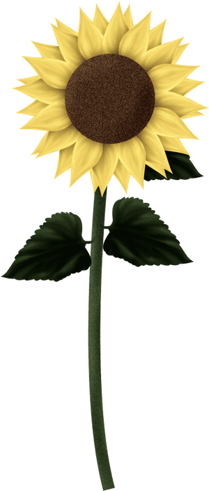Download Sunflowers Png Clipart - Sunflower Clip Art Square Border, Transparent Png PNG