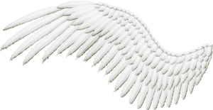 Transparent Angels Wings Clipart - Angel Wings Angle, HD Png Download PNG