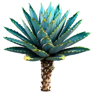 Sisal Agave Plant Png Haq46 PNG Image