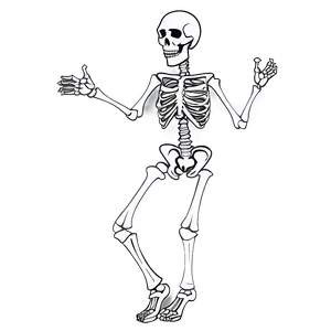 Skeleton Dancing Animated Png 47 PNG Image