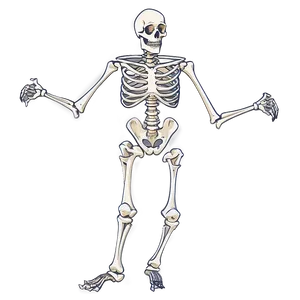 Skeleton Dancing In Costume Png Spu PNG Image