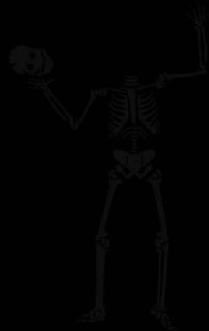 Skeleton Holding Skull PNG image with transparent background