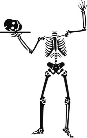 Skeleton Holding Skull PNG Image