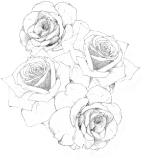 #rosas #rose #png #recursos #negro #black #black & - Rose Tattoo Png, Transparent Png PNG image with transparent background
