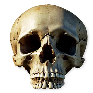 Skull Bones Png Thi PNG Image