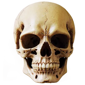 Skull Face B PNG Image