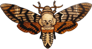 Download Moth Png Transparent Hd Photo - Moth Png Transparent, Png Download PNG with transparent background