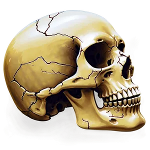 Skull Orbit Png Lhi PNG Image