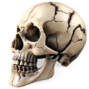 Skull Spin Effect Png Rkj PNG Image