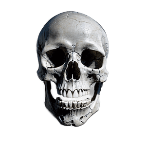 Skull Tattoo Graphic PNG   hac14 PNG image with transparent background