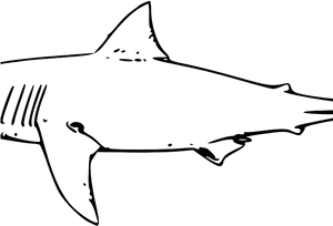 Sleek Shark Silhouette PNG Image