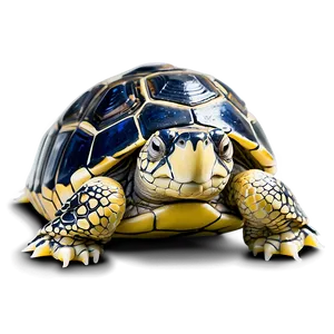 Sleeping Baby Turtle Png Hvp PNG Image