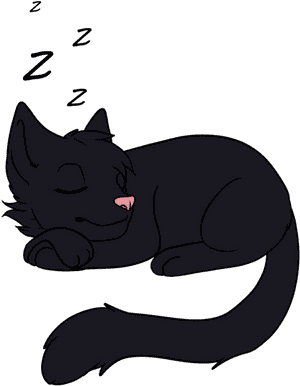 Sleeping Cat Png - Cartoon Sleeping Black Cat, Transparent Png PNG image with transparent background