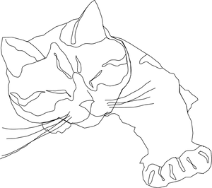 Sleeping Cat Line Art PNG Image