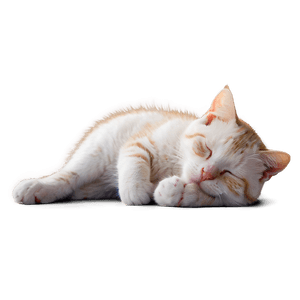 Sleeping Cat PNG 46 PNG image with transparent background