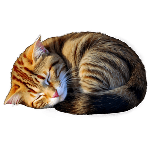 Sleeping Cat PNG jmq PNG image with transparent background