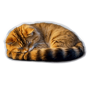 Sleeping Cat PNG rvy PNG image with transparent background