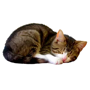 Sleeping Cat Transparent Kmg PNG Image