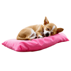 Sleeping Chihuahua PNG 18 PNG image with transparent background