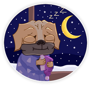 Good Night - Cartoon - Cartoon, HD Png Download PNG image with transparent background