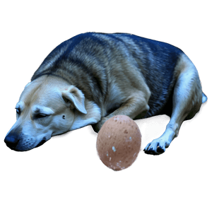 Sleeping Dogs PNG cqv PNG image with transparent background